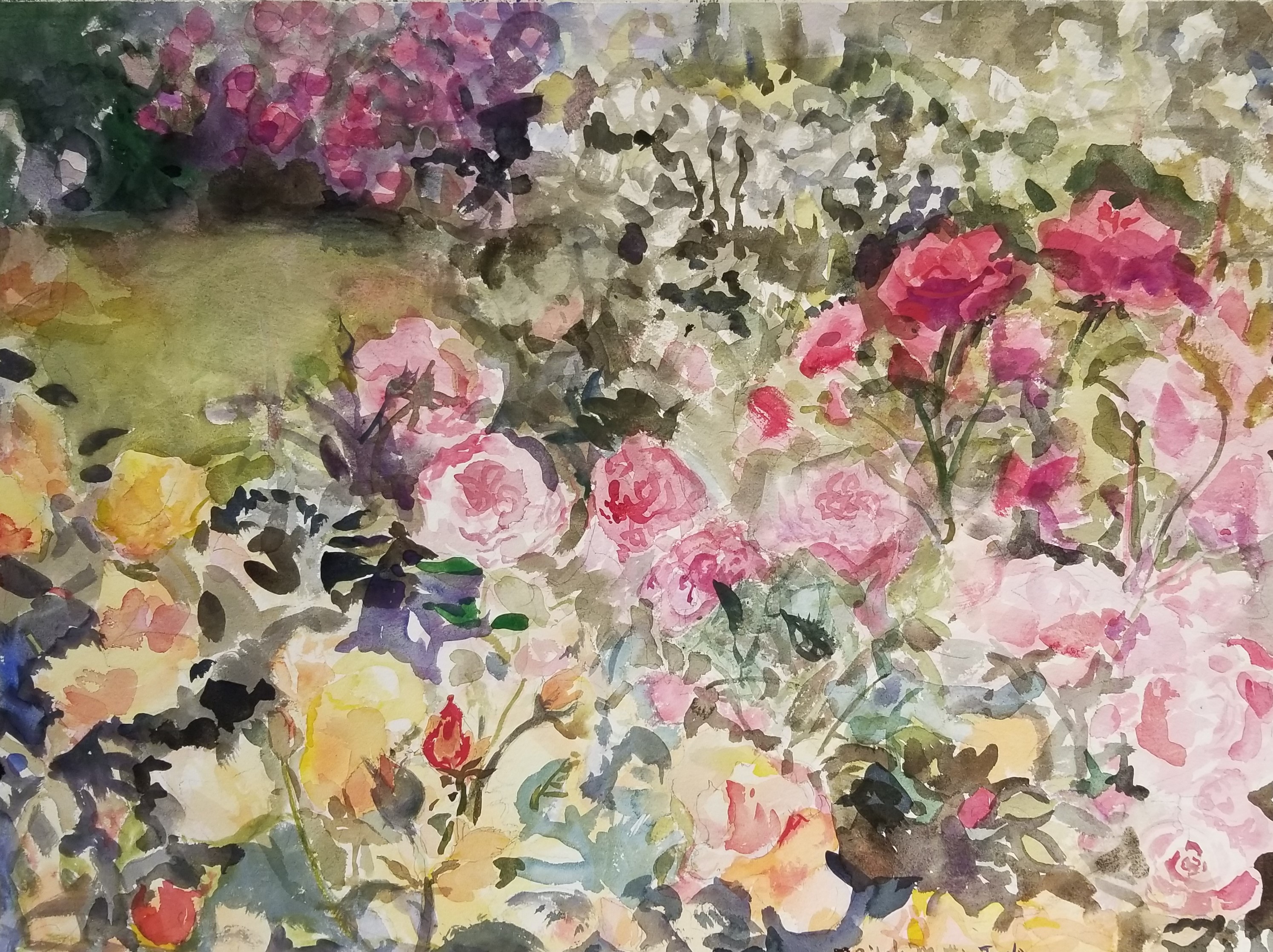 Love_and_Roses.jpg