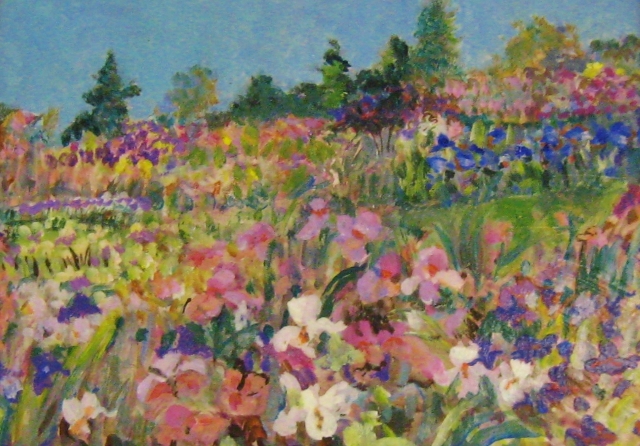 Taylor_A_Field_of_Iris_9x12_op.jpg