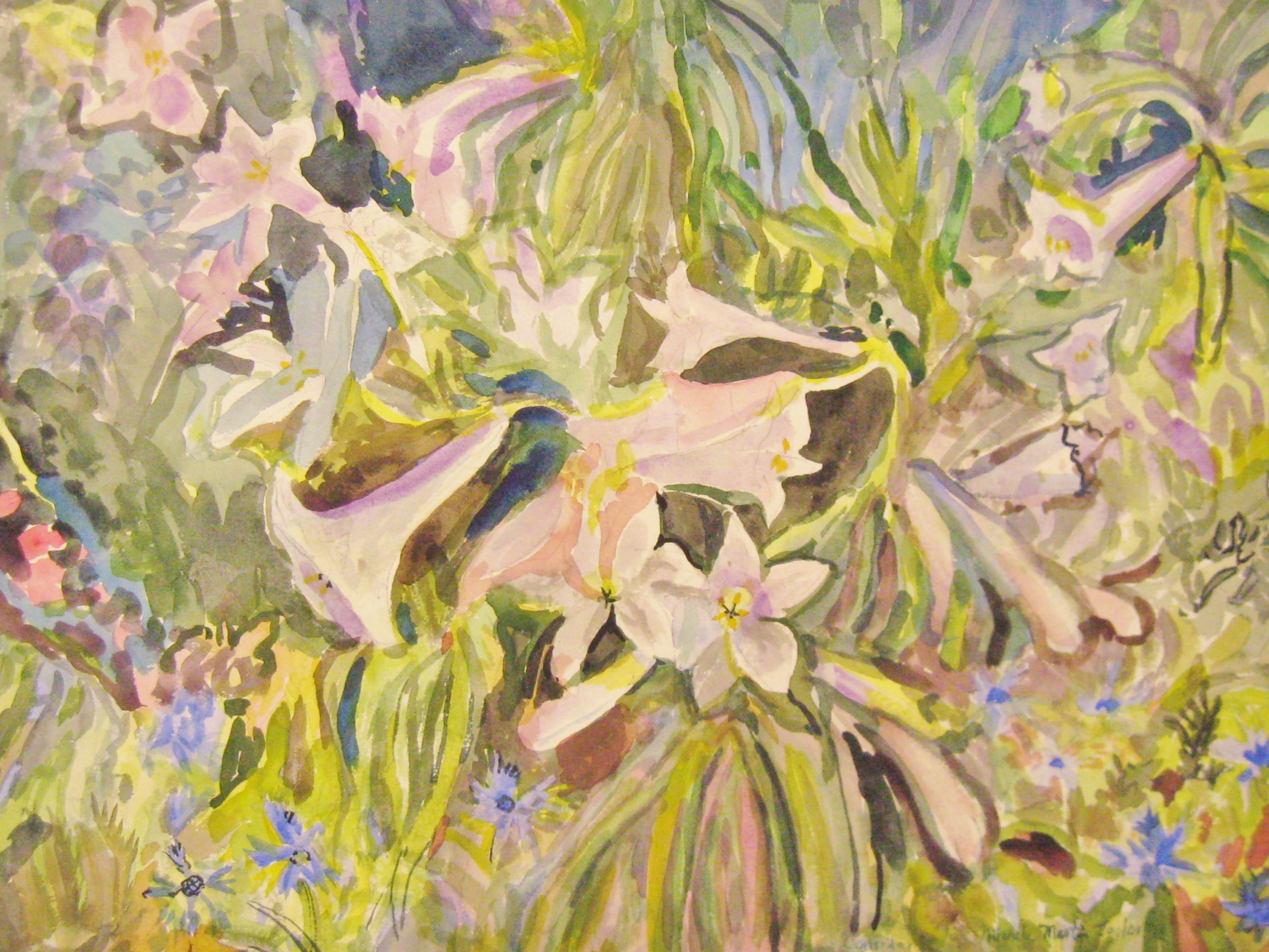 lILIES.JPG